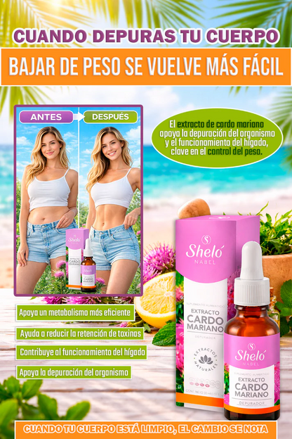 Extracto de Cardo Mariano ⭐⭐⭐⭐⭐ | Detox Natural y Apoyo para la Salud del Hígado